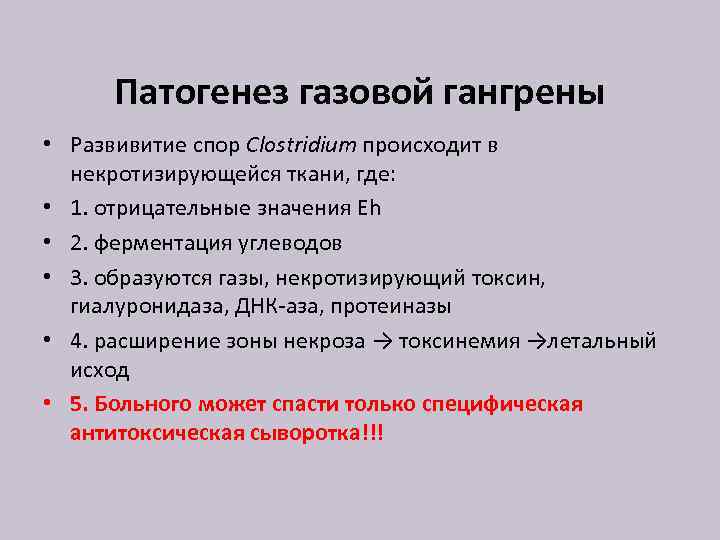 Патогенез газовой гангрены • Развивитие спор Clostridium происходит в некротизирующейся ткани, где: • 1.
