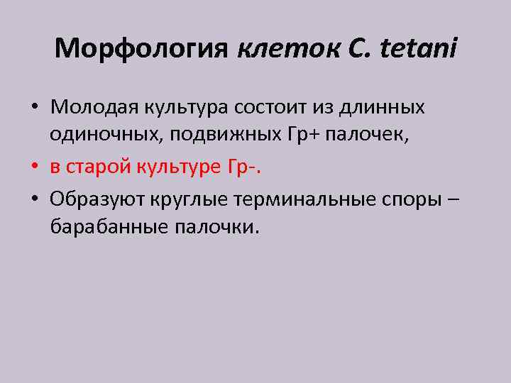 Морфология клеток C. tetani • Молодая культура состоит из длинных одиночных, подвижных Гр+ палочек,