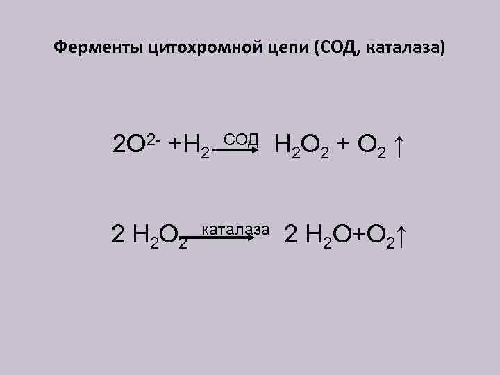 Ферменты цитохромной цепи (СОД, каталаза) 2 О 2 - +Н 2 2 Н 2