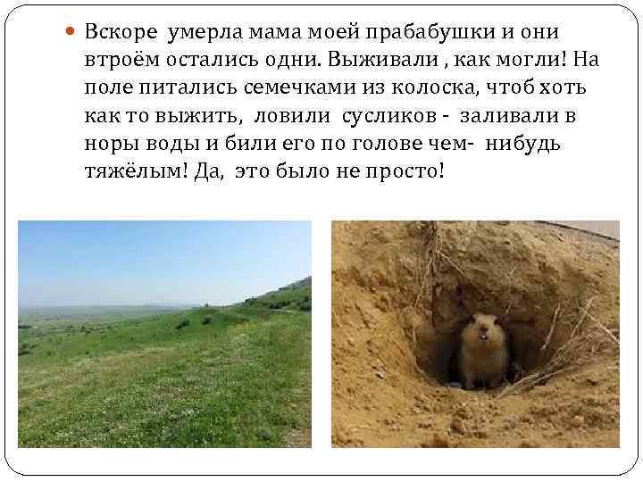  Вскоре умерла мама моей прабабушки и они втроём остались одни. Выживали , как