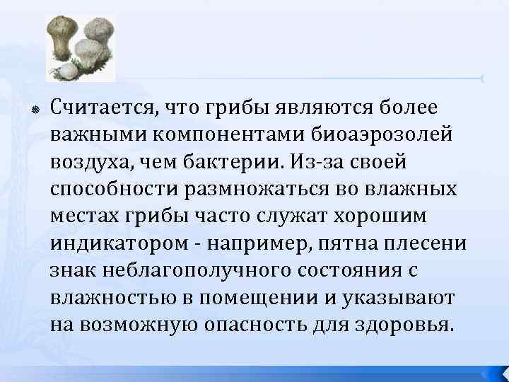 Имеют более высокую организацию. Грибы по сравнению с бактериями. Почему грибы более высокоорганизованные организмы чем бактерии. Грибы более высокоорганизованные чем бактерии. Грибы являются.