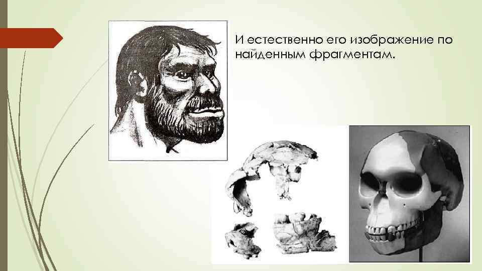 И естественно его изображение по найденным фрагментам. 