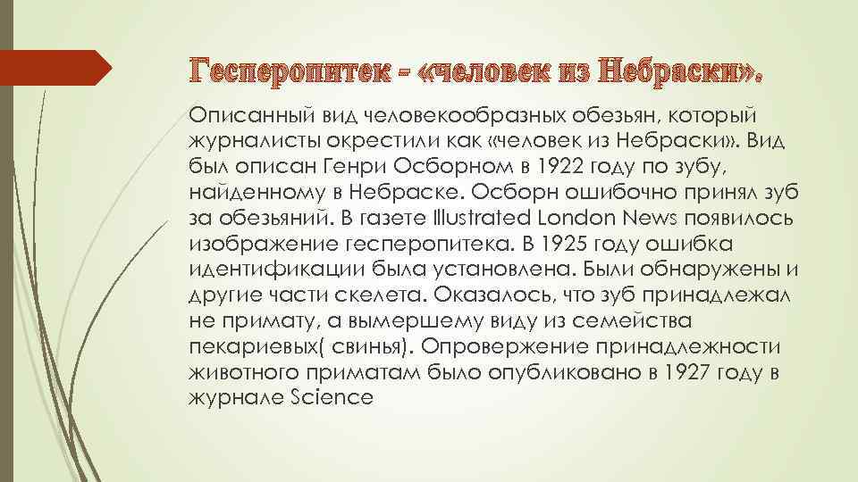 Гесперопитек - «человек из Небраски» . Описанный вид человекообразных обезьян, который журналисты окрестили как