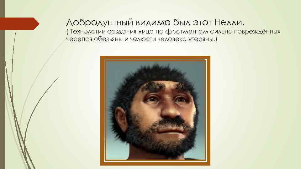 Добродушный видимо был этот Нелли. ( Технологии создания лица по фрагментам сильно повреждённых черепов