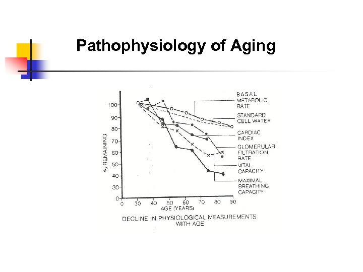 Pathophysiology of Aging 