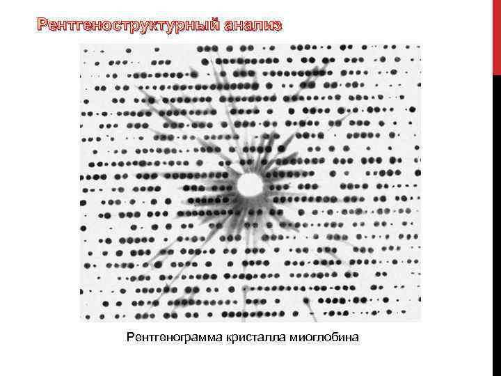 Рентгеноструктурный анализ Рентгенограмма кристалла миоглобина 