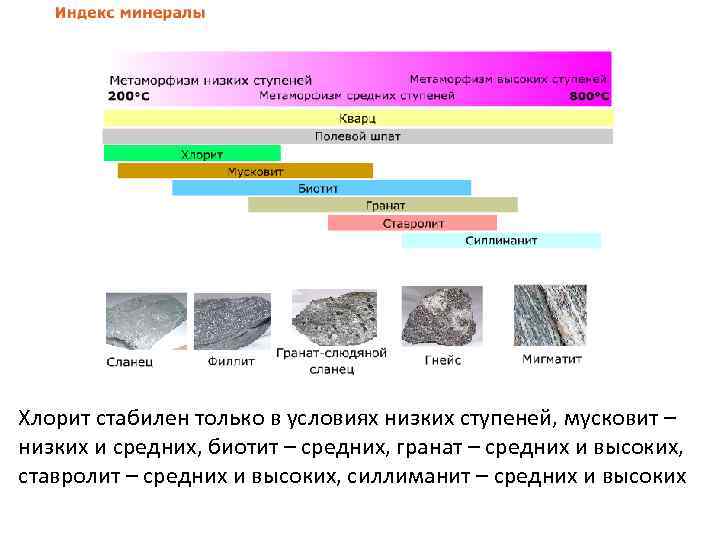 Хлорит стабилен только в условиях низких ступеней, мусковит – низких и средних, биотит –