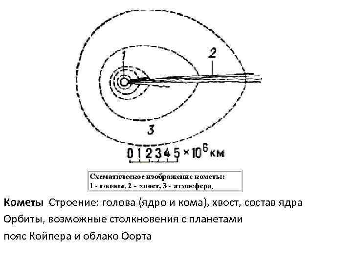 Кометы Строение: голова (ядро и кома), хвост, состав ядра Орбиты, возможные столкновения с планетами