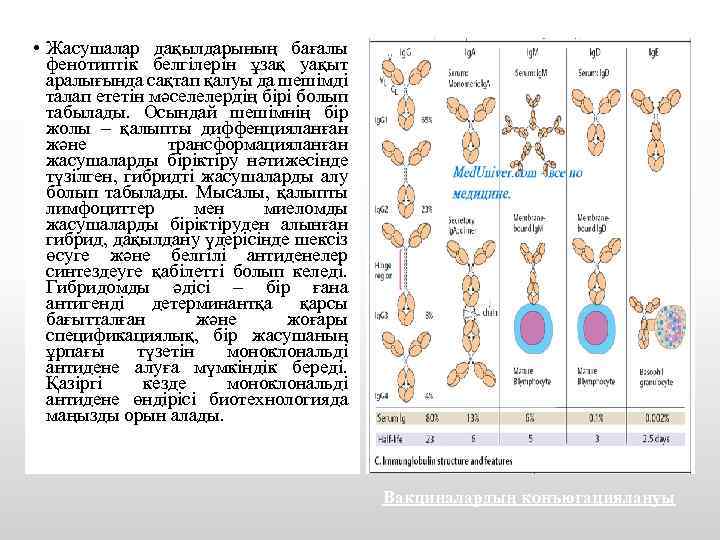  • Жасушалар дақылдарының бағалы фенотиптік белгілерін ұзақ уақыт аралығында сақтап қалуы да шешімді