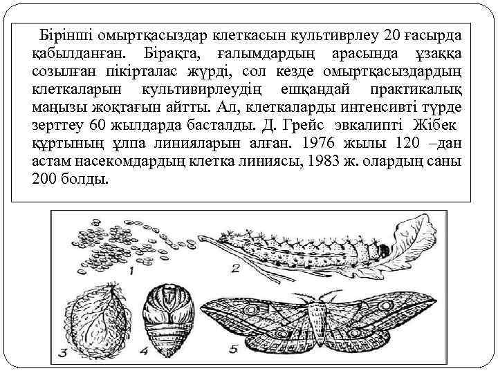 Бірінші омыртқасыздар клеткасын культиврлеу 20 ғасырда қабылданған. Бірақта, ғалымдардың арасында ұзаққа созылған пікірталас жүрді,