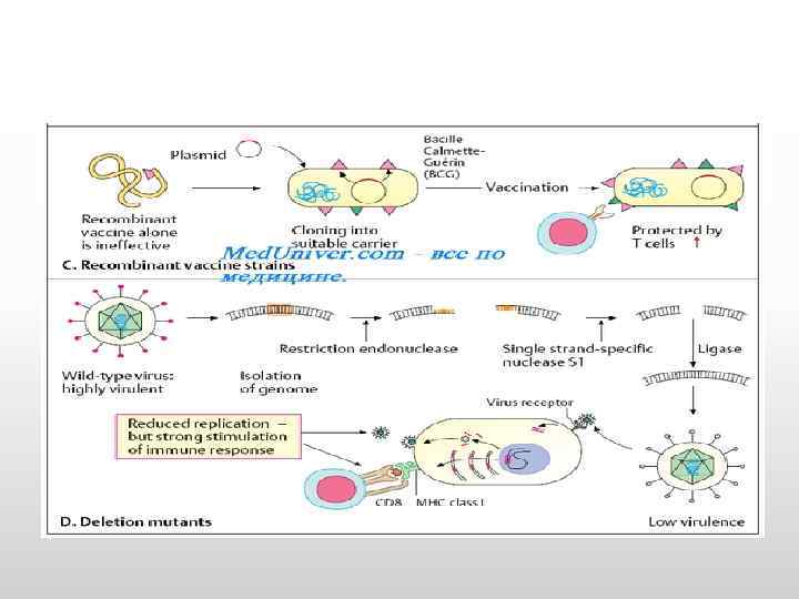 Рекомбинантты ДНК технологиясы негізіндегі жаңа буынды вакциналар 