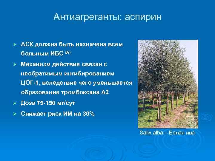 Антиагреганты: аспирин Ø АСК должна быть назначена всем больным ИБС (А) Ø Механизм действия