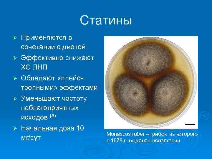 Статины Ø Применяются в сочетании с диетой Ø Эффективно снижают ХС ЛНП Ø Обладают