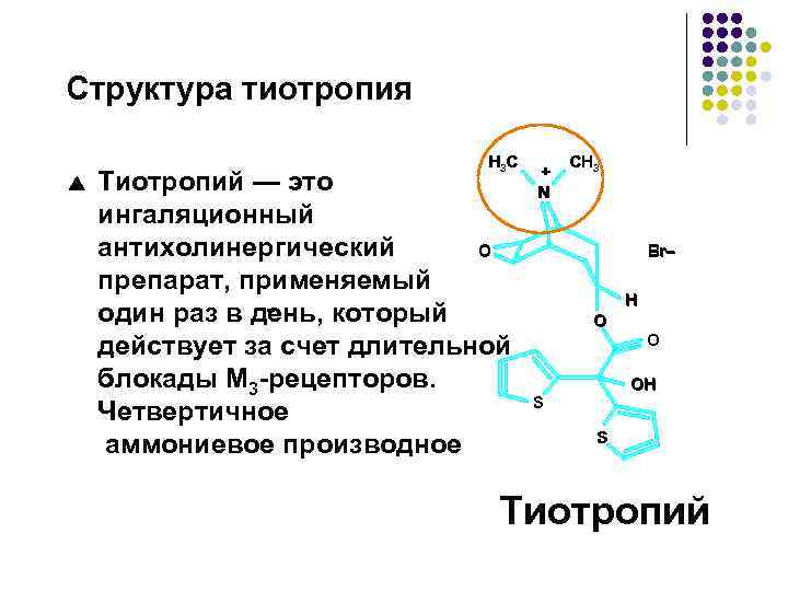 Структура тиотропия p H 3 C Тиотропий — это ингаляционный O антихолинергический препарат, применяемый