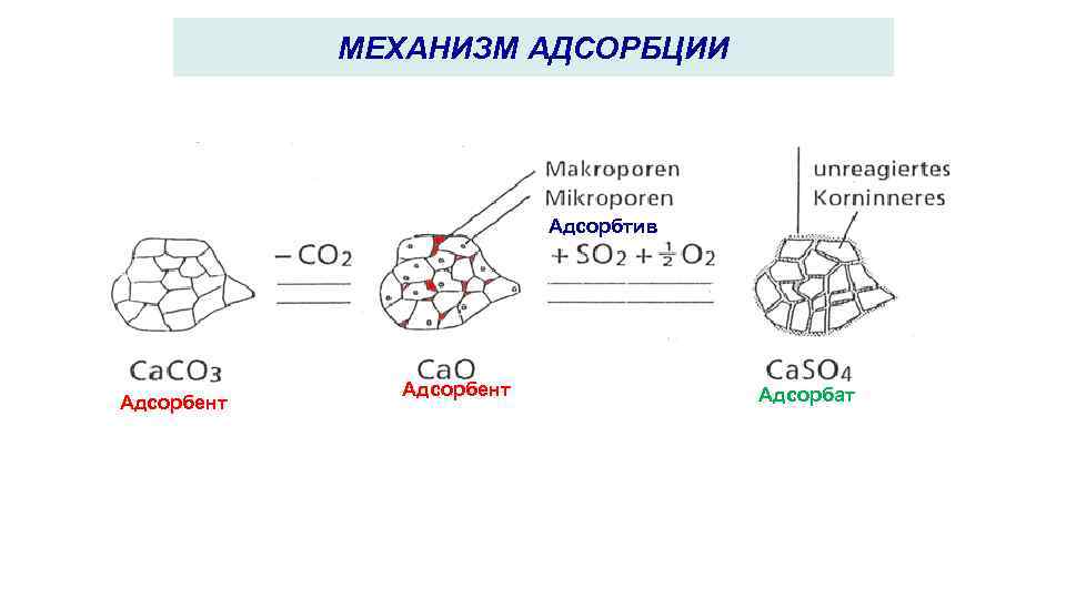 Как построить изотерму адсорбции в excel