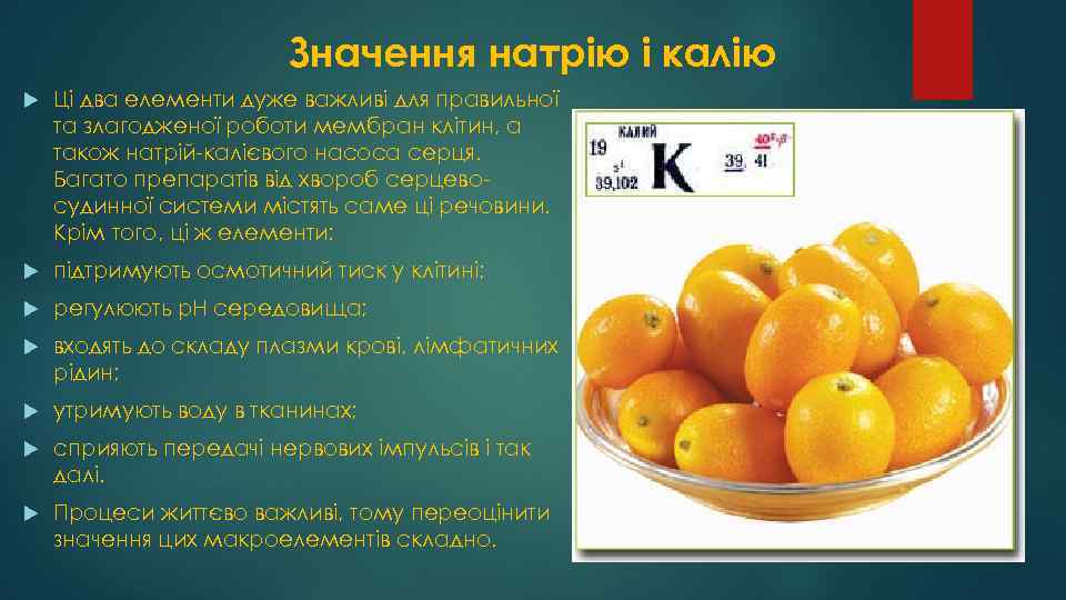 Значення натрію і калію Ці два елементи дуже важливі для правильної та злагодженої роботи