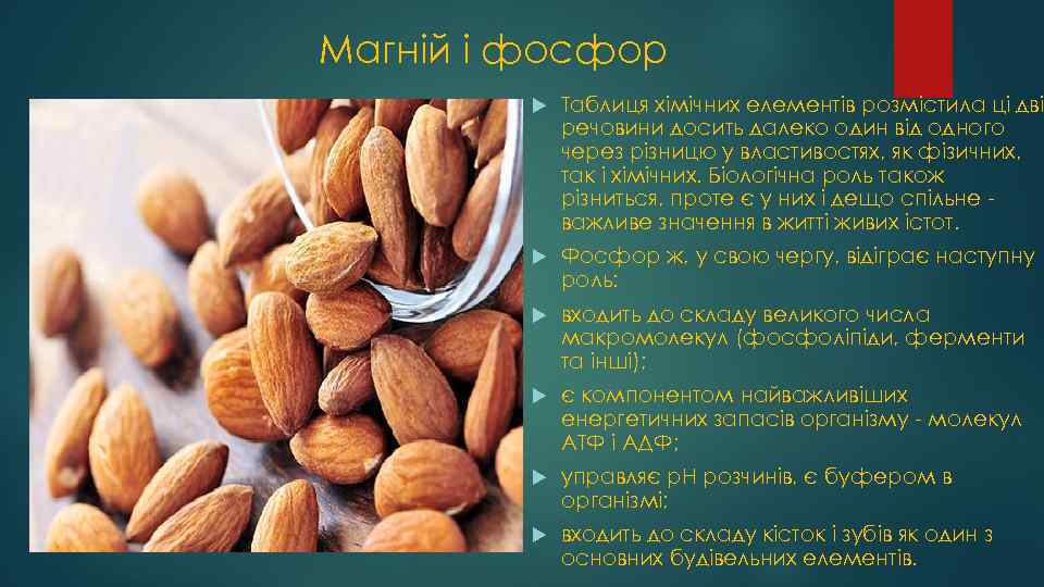 Магній і фосфор Таблиця хімічних елементів розмістила ці дві речовини досить далеко один від