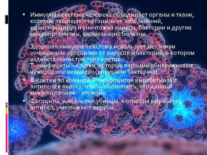  Иммунная система человека объединяет органы и ткани, которые защищают организм от заболеваний, идентифицируя