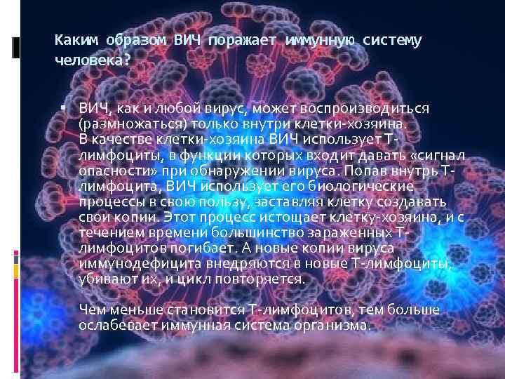 Каким образом ВИЧ поражает иммунную систему человека? ВИЧ, как и любой вирус, может воспроизводиться