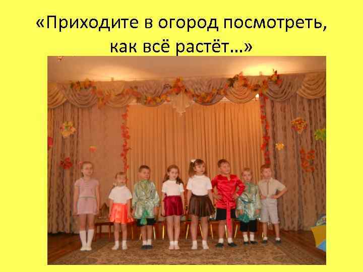  «Приходите в огород посмотреть, как всё растёт…» 