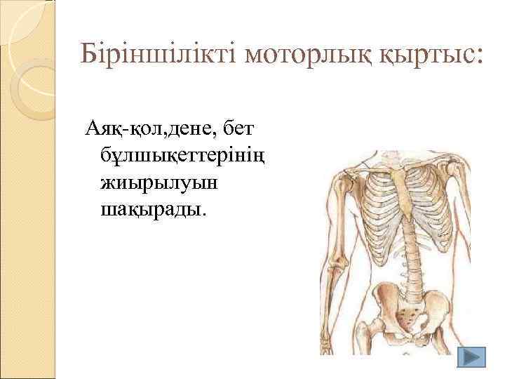 Біріншілікті моторлық қыртыс: Аяқ-қол, дене, бет бұлшықеттерінің жиырылуын шақырады. 