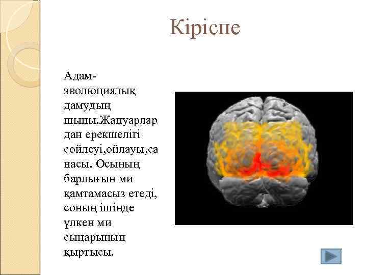 Кіріспе Адамэволюциялық дамудың шыңы. Жануарлар дан ерекшелігі сөйлеуі, ойлауы, са насы. Осының барлығын ми