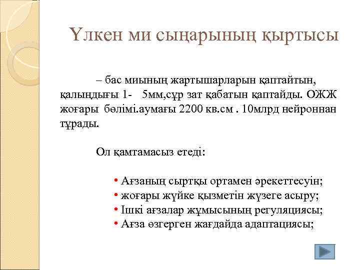 Үлкен ми сыңарының қыртысы – бас миының жартышарларын қаптайтын, қалыңдығы 1 - 5 мм,