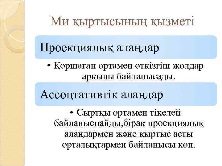 Ми қыртысының қызметі Проекциялық алаңдар • Қоршаған ортамен өткізгіш жолдар арқылы байланысады. Ассоцтативтік алаңдар