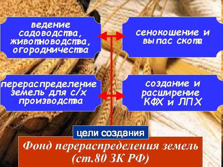 ведение садоводства, животноводства, огородничества сенокошение и выпас скота перераспределение земель для с/х производства создание