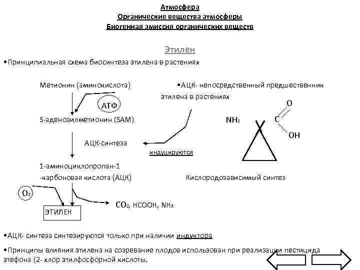 Атмосфера Органические вещества атмосферы Биогенная эмиссия органических веществ Этилен • Принципиальная схема биосинтеза этилена