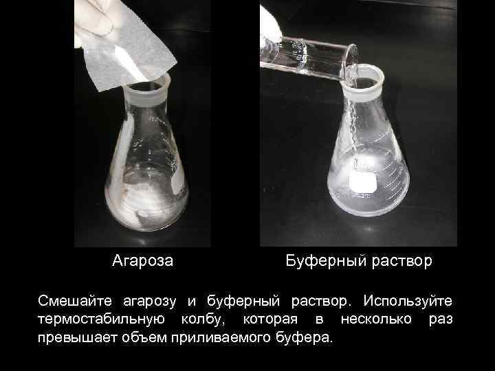 Aгароза Буферный раствор Смешайте агарозу и буферный раствор. Используйте термостабильную колбу, которая в несколько
