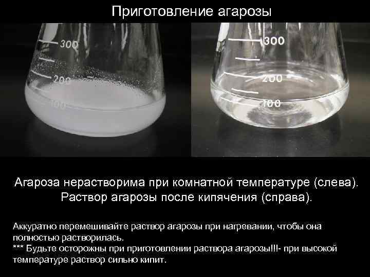Приготовление агарозы Агароза нерастворима при комнатной температуре (слева). Раствор агарозы после кипячения (справа). Аккуратно