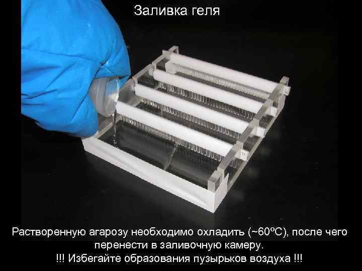 Заливка геля Растворенную агарозу необходимо охладить (~60ºC), после чего перенести в заливочную камеру. !!!