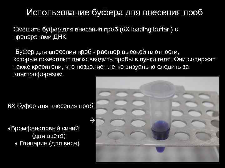 Использование буфера для внесения проб Смешать буфер для внесения проб (6 X loading buffer