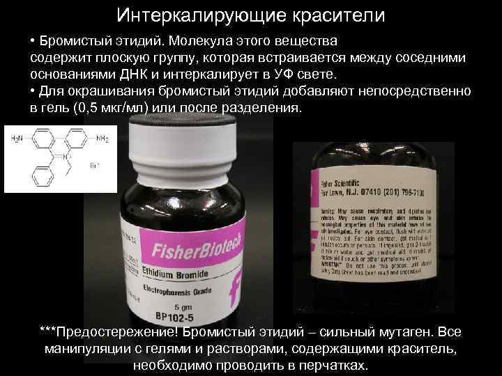 Интеркалирующие красители • Бромистый этидий. Молекула этого вещества содержит плоскую группу, которая встраивается между