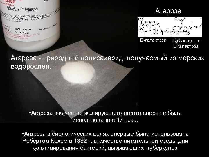 Aгароза D-галактоза 3, 6 -ангидро. L-галактоза Агароза - природный полисахарид, получаемый из морских водорослей.