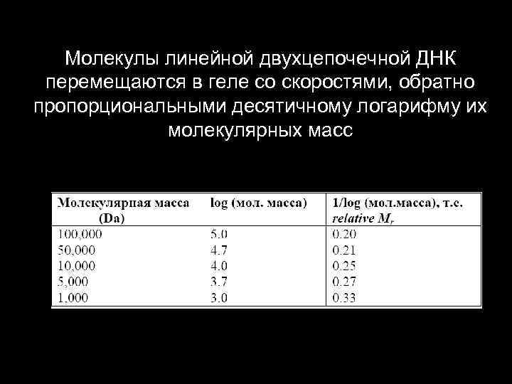 Молекулы линейной двухцепочечной ДНК перемещаются в геле со скоростями, обратно пропорциональными десятичному логарифму их