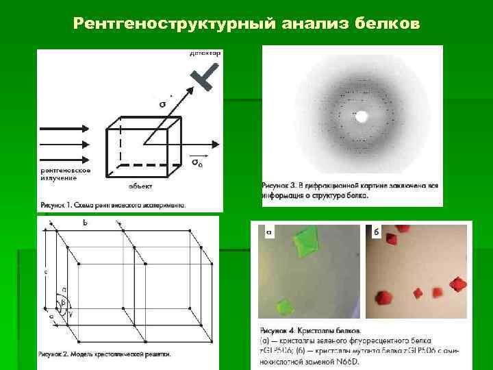 Рентгеноструктурный анализ фото