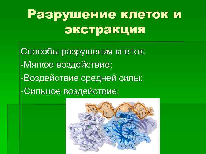 Способы разрушения. Методы разрушения клеток. Разрушение клеток и экстракция. Механическое разрушение клеток.