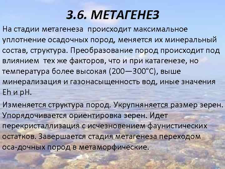 3. 6. МЕТАГЕНЕЗ На стадии метагенеза происходит максимальное уплотнение осадочных пород, меняется их минеральный