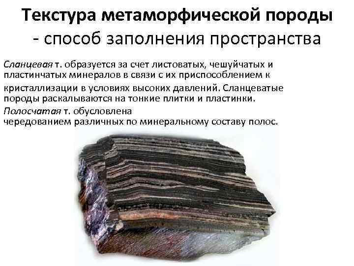 Текстура метаморфической породы - способ заполнения пространства Сланцевая т. образуется за счет листоватых, чешуйчатых