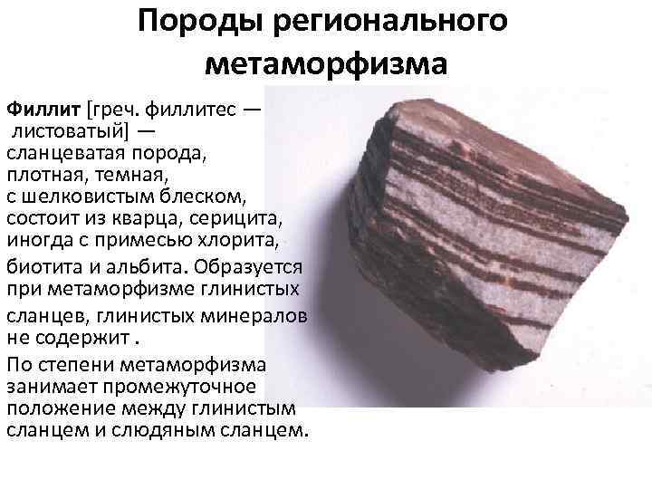 Породы регионального метаморфизма Филлит [греч. филлитес — листоватый] — сланцеватая порода, плотная, темная, с