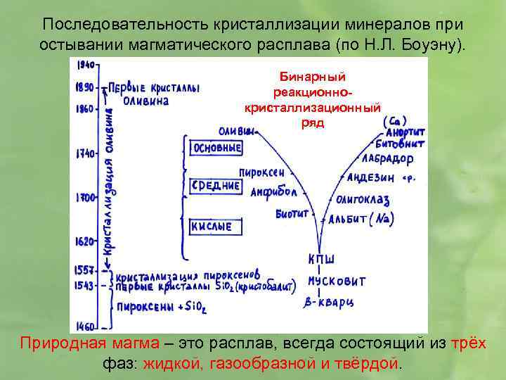 Последовательность кристаллизации минералов при остывании магматического расплава (по Н. Л. Боуэну). Бинарный реакционнокристаллизационный ряд