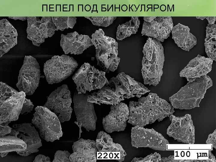 ПЕПЕЛ ПОД БИНОКУЛЯРОМ 