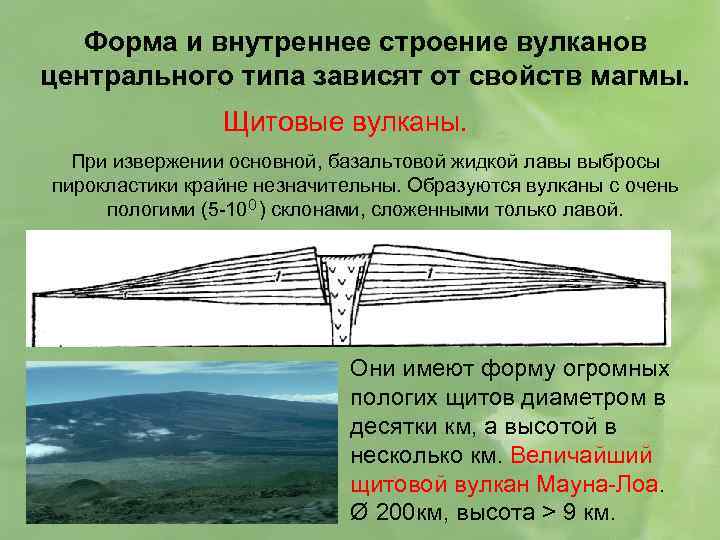 Форма и внутреннее строение вулканов центрального типа зависят от свойств магмы. Щитовые вулканы. При