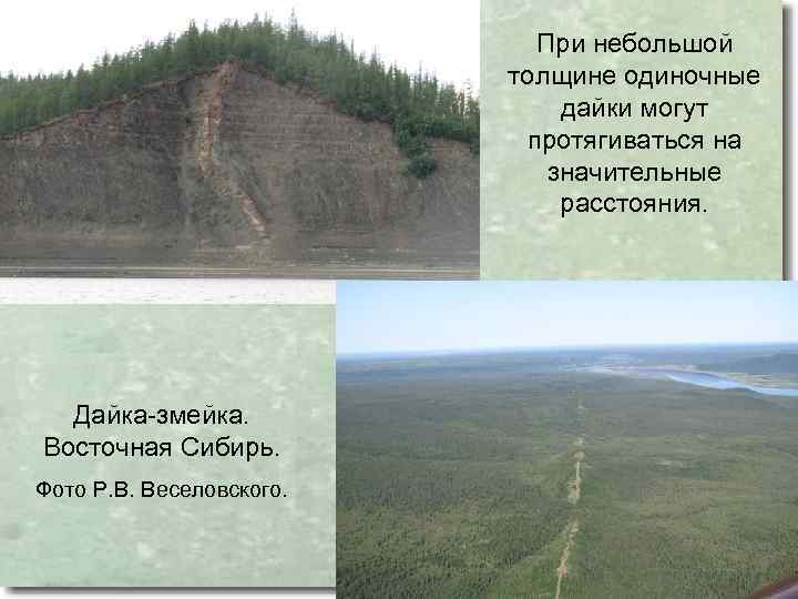 При небольшой толщине одиночные дайки могут протягиваться на значительные расстояния. Дайка-змейка. Восточная Сибирь. Фото