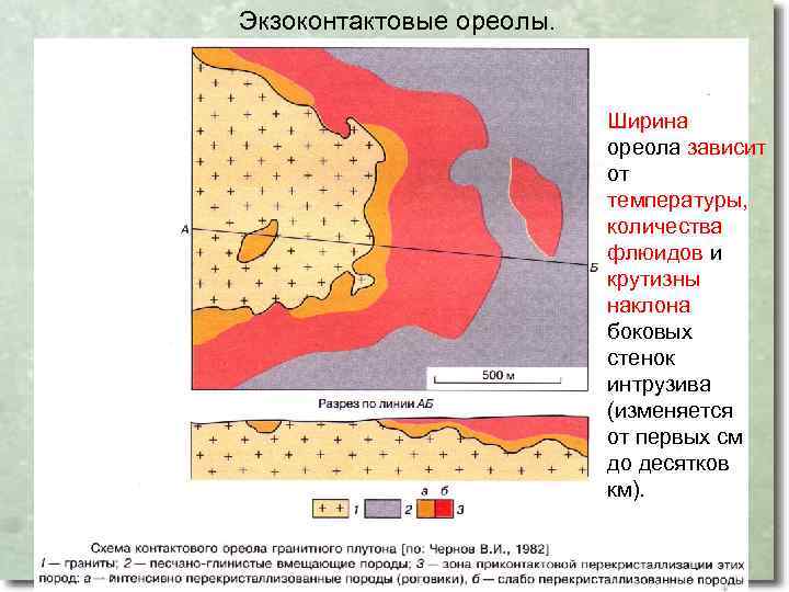 Экзоконтактовые ореолы. Ширина ореола зависит от температуры, количества флюидов и крутизны наклона боковых стенок