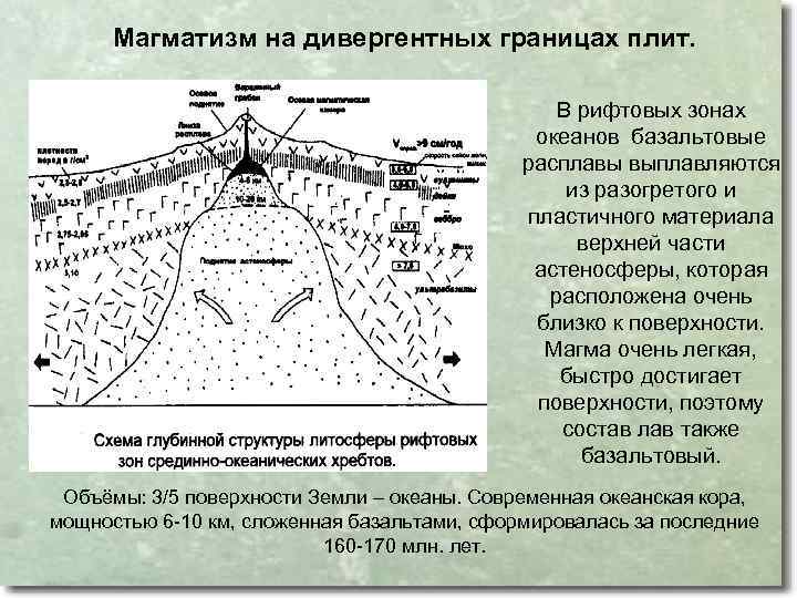 Магматизм на дивергентных границах плит. В рифтовых зонах океанов базальтовые расплавы выплавляются из разогретого