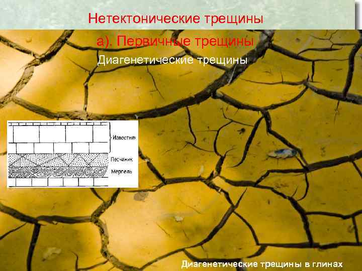  Нетектонические трещины а). Первичные трещины Диагенетические трещины в глинах 