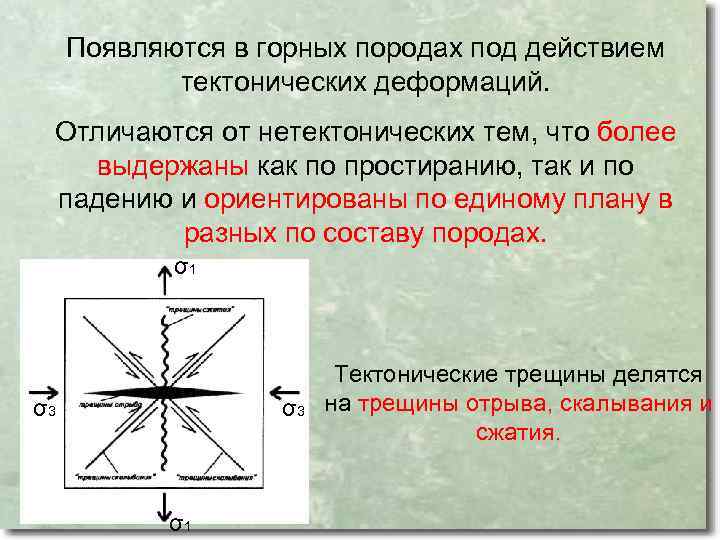 Появляются в горных породах под действием тектонических деформаций. Отличаются от нетектонических тем, что более